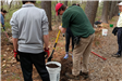A volunteer spreads some soil on the ground.