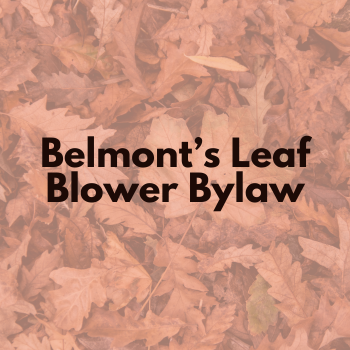 Leaf Blower Bylaw